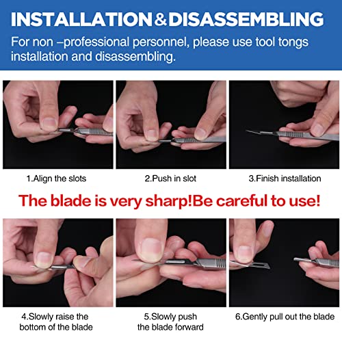 YixangDD 21PCS 20 Scalpel Blades with #10 Scalpels Surgical Sterile Blades - color: Stainless-steel