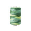 1000 Yard Multicolor Gradient Sewing Thread Colorful Embroidery Thread DIY Craft Spools Garment Accessory - style: #12