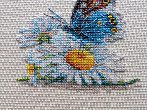RIOLIS - Fragile Beauty 2220, Floral Cross Stitch Kits 6"x 6", Cross Stitch Kits for Beginners & Advanced, Crossstitching Kits Adult, Counted Stitching Kits, Butterfly Embroidery Kit - style: Fragile Beauty 2220