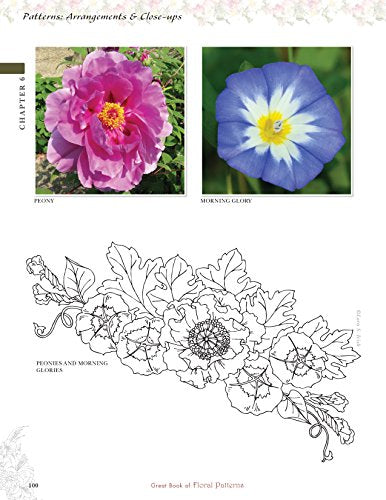 Great Book of Floral Patterns, Third Edition, Revised and Expanded: The Ultimate Design Sourcebook for Artists and Crafters (Fox Chapel Publishing) Over 100 Expertly Drawn Designs from Lora S. Irish