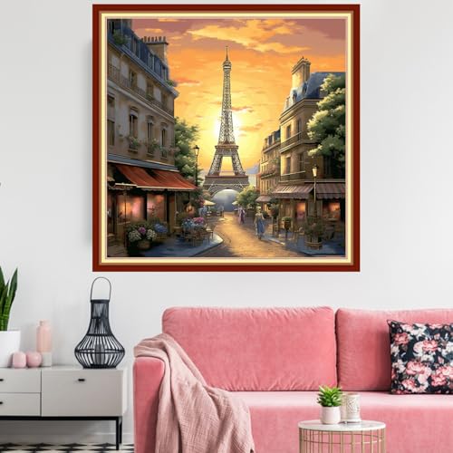 Redxing Stamped Cross Stitch Kits Embroidery kit for Beginners Adults Full Range of Embroidery Patterns Starter Kits DIY Printed Cross Stitch Kits Needlepoint Kits 11CT-Eiffel Tower Street 18x18 inchs - color: Artskits09