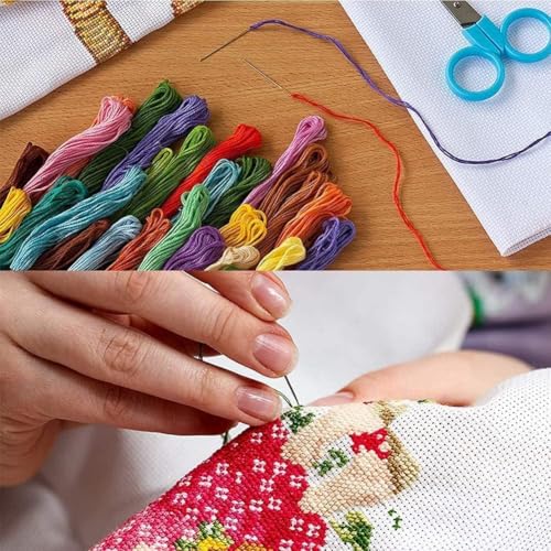 Flowers Stamped Cross Stitch Kits Flowers Cross Stitch Patterns,Dimensions Cross Stitch Kits Embroidery Kit Arts and Crafts for Beginners 15.7x11.8 inch - color: D049