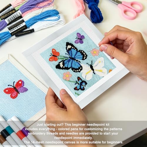 Needlepoint Kits for Beginners, Needlepoint Starter Kit for DIY Craft - color: white 14mesh