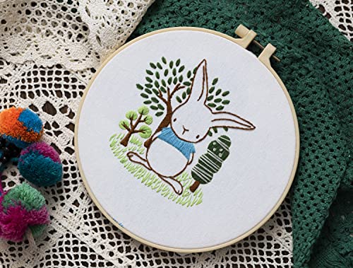 Ebherys Level 1 Embroidery Kits for Beginners and Adults, Different Animals Pattern, 1set as a Pack, inculde 1 Hoop, Instruction and Enough Threads, Easy and Basic Stitches (Bunny) - color: Bunny