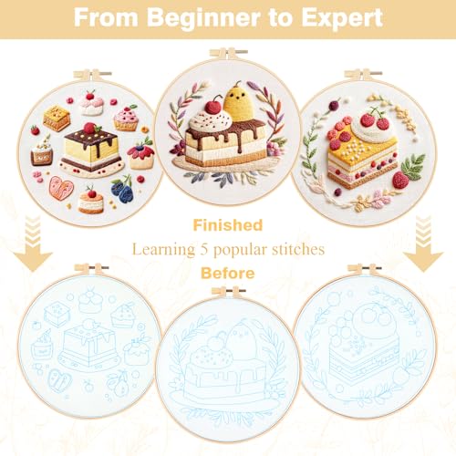 RidaaFri Embroidery Kit for Beginners, 3PC Starter Set Cake Fruit Patterns