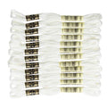 DMC 6-Strand Embroidery Cotton Floss - Winter White - 12/Pkg - style: #3865 White