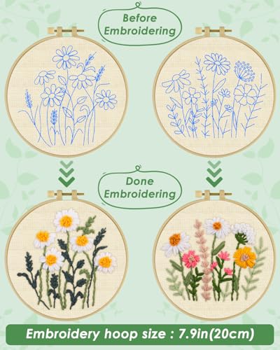 ERKOON Punch Needle Kit Adults Beginners, 2 Pcs DIY Easy Flower Embroidery Set for Starter Art Craft, Needling Punching Project with Patterns, Tools, Yarns, Hoop, Instruction (Daisies) - color: Daisies
