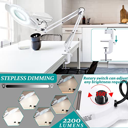 10X & 2200 Lumens Magnifying Glass with Light and Clamp, White - color: 10x White