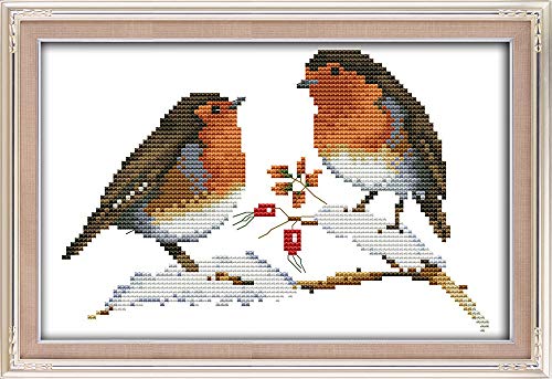 CaptainCrafts Cross Stitch Kits Full Range Stamped Fabric DIY Art Needlecrafts Embroidery Kit for Adults Beginner (Stamped 14CT, Two Little Birds) - color: Two Little Birds, size: Stamped 14CT