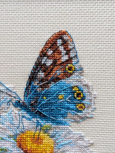 RIOLIS - Fragile Beauty 2220, Floral Cross Stitch Kits 6"x 6", Cross Stitch Kits for Beginners & Advanced, Crossstitching Kits Adult, Counted Stitching Kits, Butterfly Embroidery Kit - style: Fragile Beauty 2220