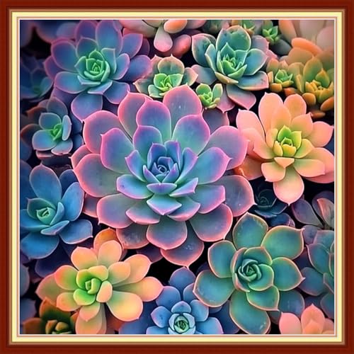 Redxing Stamped Cross Stitch Kits Embroidery kit for Beginners Adults Full Range of Embroidery Patterns Starter Kits DIY Printed Cross Stitch Kits Needlepoint Kits 11CT-Succulent Plants 18x18 inch - color: Artskits34
