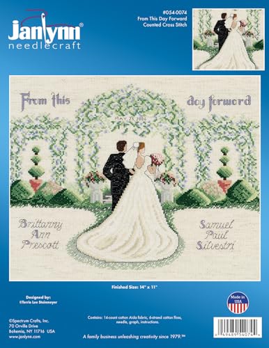 Janlynn Counted Cross Stitch Kit, From This Day Forward, multi-colored