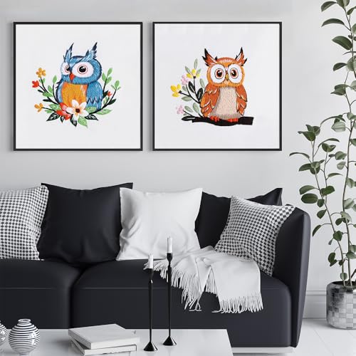 COCOMOX Embroidery Kit for Beginners, Hand Craft Practice Embroidery Kits - color: Owl pattern