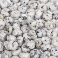 5x8mm 100Pcs Natural White Dalmatian Rondelle Beads for Jewelry Making Loose Spacer Abacus Disk Beads Gemstone for Bracelets Necklace DIY Crafts - color: White Dalmatian