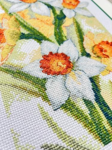 RIOLIS - Spring Glow. Daffodils 2189, Cross Stitch Kits 8¼"x11¾, Cross Stitch Kits for Adults, Counted Cross Stitch Kits, Embroidery Kit for Beginners & Advanced, Floral Crossstitching Kits - style: Spring Glow. Daffodils 2189