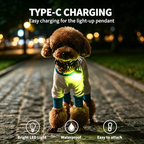 LaRoo LED Dog Collar Charm, Rechargeable Light with 3 Modes, Natural Rubber Pet Safety Light, 5 Hour Glow(Yellow) - color: Yellow-C