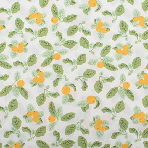 Hanjunzhao Fat Quarters Fabric Bundles,Print Floral Plaid Solid Quilting Fabric for Sewing Crafting,18 x 22 inches - color: Multi B