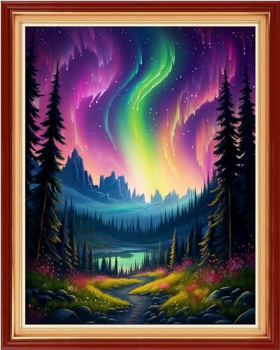 Dooxvey Cross Stitch Kit for Adult Beginners - Full Range of Stamped Kits - 11CT Cross Stitch Patterns - Northern Lights Scenery - 16x20 inch - color: Manual Arts 22