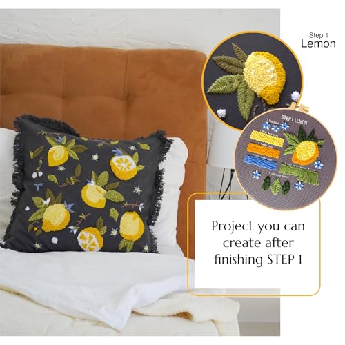 3-Step Punch Needle Kit for Beginners – Learn 14 Stitches with DIY Kit, Needlepoint Instructions & Practice Patterns, Embroidery Art & Craft Project for Adults with Video Tutorial