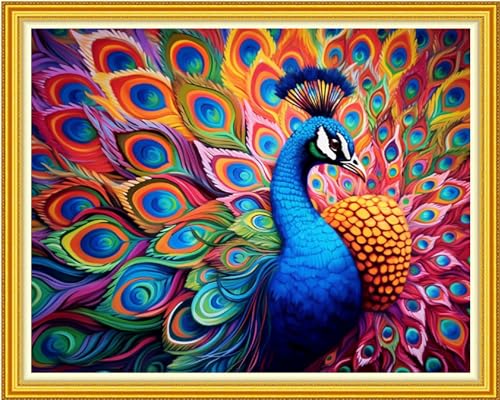 Funxvoot Stamped Cross Stitch Kits Beginners Full Range of Embroidery Kits for Adults 11CT Embroidery Patterns Needlepoint Kits Printed Cross Stitch Kits-Colorful Peacock 16x20 inch - color: Craftsstyle16