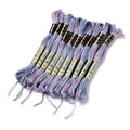 10 Skeins Medium Slate Blue 0.5mm 6-Ply Polyester Embroidery Floss Cross Stitch Threads Segment Dyed Gradient for DIY Craft Hand Sewing Knitting DIY Crafts Jewelry Making 8.75 Yards(8m)/Skein - color: Medium Slate Blue