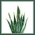Svarog Stamped Cross Stitch Kits Beginners Full Range of Embroidery Patterns Starter Kits for Adult or Kids DIY Cross Stitches Needlepoint Kits 14CT-Green Plant 5， 12.2x12.2 inch - color: Green Plant 5， 12.2x12.2 inch
