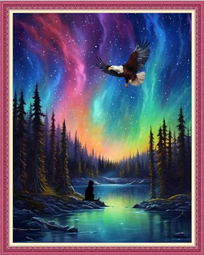 Funxvoot Stamped Cross Stitch Kits Beginners Full Range of Embroidery Kits for Adults 11CT Embroidery Patterns Needlepoint Kits Printed Cross Stitch Kits-Northern Lights Scenery 16x20 inch - color: Craftsstyle01