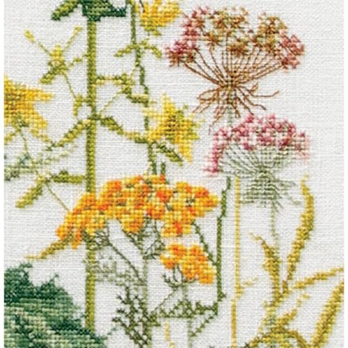 Thea Gouverneur - Counted Cross Stitch Kit - Herb Panel - Linen - 36 Count - Embroidery Kit for Adults - DMC Embroidery Threads and Other Cross Stitch Supplies Included - 424 - color: 424 Linen