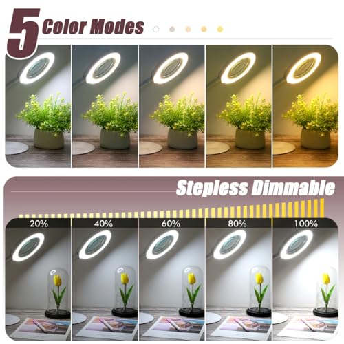 10X Magnifying Glass with Light and Stand, 5 Color Modes Stepless Dimmable LED Lighted Desk Lamp, Hands Free Flexible Gooseneck Magnifier with Light for Craft Hobby Painting Close Work - White - color: White, size: 10X-12.6in