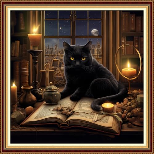 Funchey Stamped Cross Stitch Kits, DIY Cross Stitch Pattern for Adults Beginners Needlepoint Kits Embroidery Kit Arts and Crafts 11CT-Black Cat Book 18x18 inch - color: Handicraft patterns39