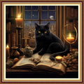 Funchey Stamped Cross Stitch Kits, DIY Cross Stitch Pattern for Adults Beginners Needlepoint Kits Embroidery Kit Arts and Crafts 11CT-Black Cat Book 18x18 inch - color: Handicraft patterns39