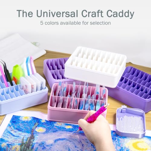 RaySoar 3D Printed 20 Grids Diamond Painting Bag Organizer, Multi Slot Drill Bags Storage Tray, Spill Proof Stand Upright Portable Desktop Craft Storage Caddy for Small Diamond Art Accessories -Pink - color: Pink