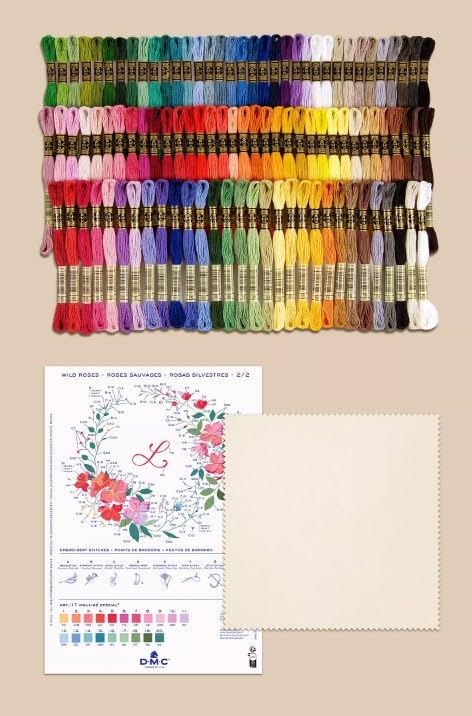 DMC Modular Storage Box Includes 100 Skeins of DMC Six-Strand Embroidery Floss