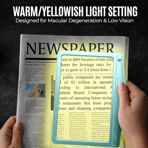 MagniPros 5X Rechargeable LED Page Magnifier with 3 Color Light Modes-Aqua - color: Aqua