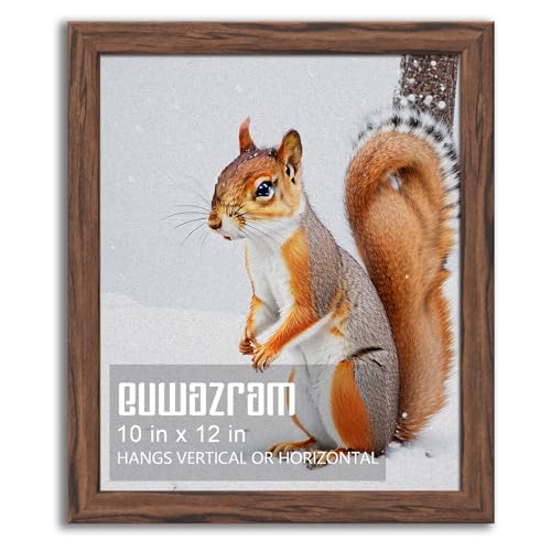 Rustic Walnut 10x12 Frame - Single Frame, 10 x 12 Poster Frame for Artwork, Puzzles, Photos and Movie Posters Picture Frames - size: 10" x 12"
