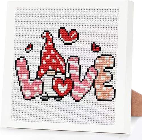 Tiwabb Gnome Stamped Cross Stitch Kits for Adults Beginners with Frame - color: Gnome Cross Stitch with Frame