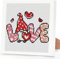 Tiwabb Gnome Stamped Cross Stitch Kits for Adults Beginners with Frame - color: Gnome Cross Stitch with Frame