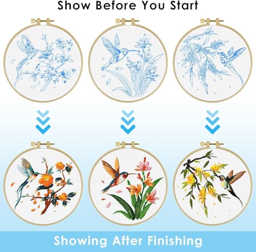 GLTAYLMY 3 Pack Embroidery Kits for Adults, Hummingbird and Flower Embroidery Kit for Beginners with Clear Instructions,1 Plastic Embroidery Hoops, Stamped Patterns, Colorful Threads, Tools - color: Bird123