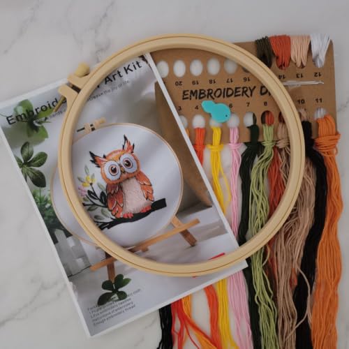 Embroidery Starter Kit for Adult Beginner with Owl Pattern Hand Stitch Set - color: Owl