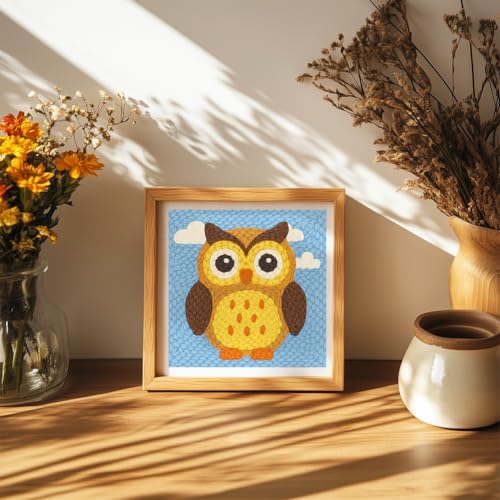 Doodlream Owl Bird DIY Punch Needle Embroidery Kit for Adult Beginner, 9.4" Cartoon Animal Punch Stitching Craft Set for Starter with Frame, Fabric Pattern, Threader, Yarn, Pinch Needle - color: Owl