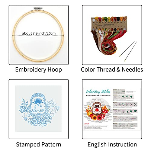 Louise Maelys Cute Hedgehog Embroidery Kit for Beginners Animal Craft - color: kit-9