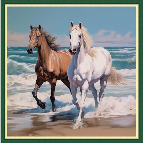 Foxdiviy Stamped Cross Stitch Kits Full Range of Embroidery Needlework Starter Kits for Beginners Adults 11CT Embroidery Patterns Art Crafts DIY Needlepoint Kits-Seaside Steed 18x18 inch - color: Stamped Set 03