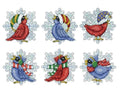 Design Works Crafts Snowbirds Counted Cross Stitch Ornament Kit - Set/6