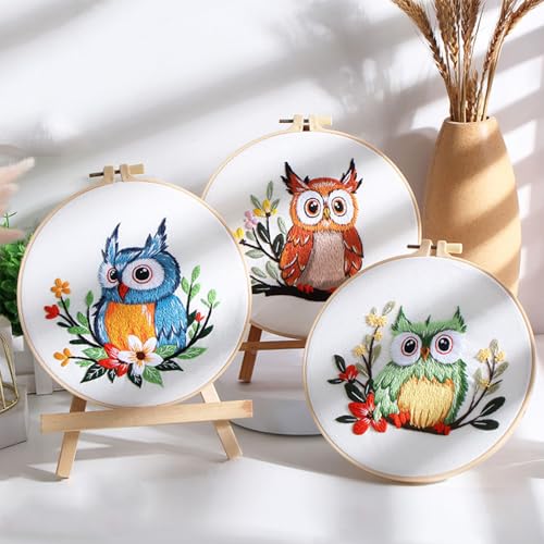 COCOMOX Embroidery Kit for Beginners, Hand Craft Practice Embroidery Kits - color: Owl pattern