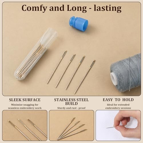 30PCS Cross Stitch Needles Size 22 Stainless Steel Large Eye Hand Sewing Needles with Transparent Box Needlepoint Needle