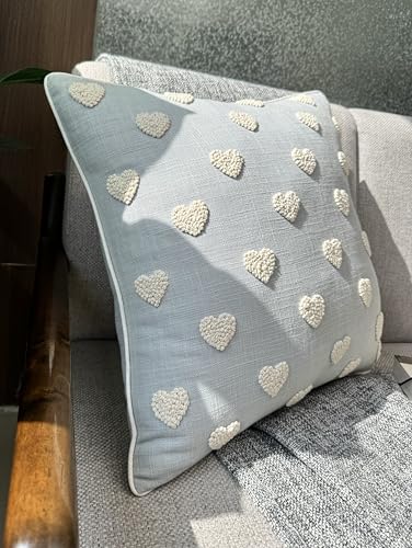 VAGMINE Embroidered Tufted Heart 18x18 Throw Pillow Cover, Robins Egg - color: Robins Egg-french Knots, size: 18" x 18" (Pack of 1)