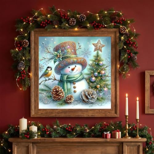 WUSARPLY Christmas Snowman Stamped Cross Stitch Kits for Beginners Adults - color: J188