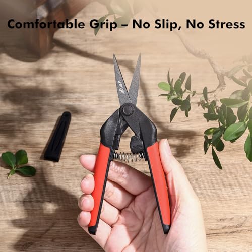 LIVINGO Garden Pruning Shears 2 Pack with Sharp Stainless Steel Blades