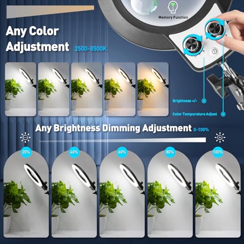 KIRKAS 12X 30X Magnifying Glass with Light and Stand, Overhead Knob 2 in 1 - size: 12X 30X 9.06 INCH Base & Clamp