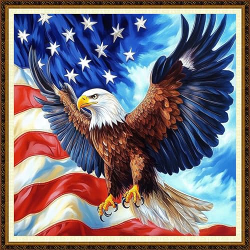 Redxing Counted Cross Stitch Kit for Beginners,Unprinted Needlepoint Kits for Beginners Cross Stitching Embroidery Kit 11CT Stitches kit-Flying Eagle Flag 18x18 inch - color: KitColors07